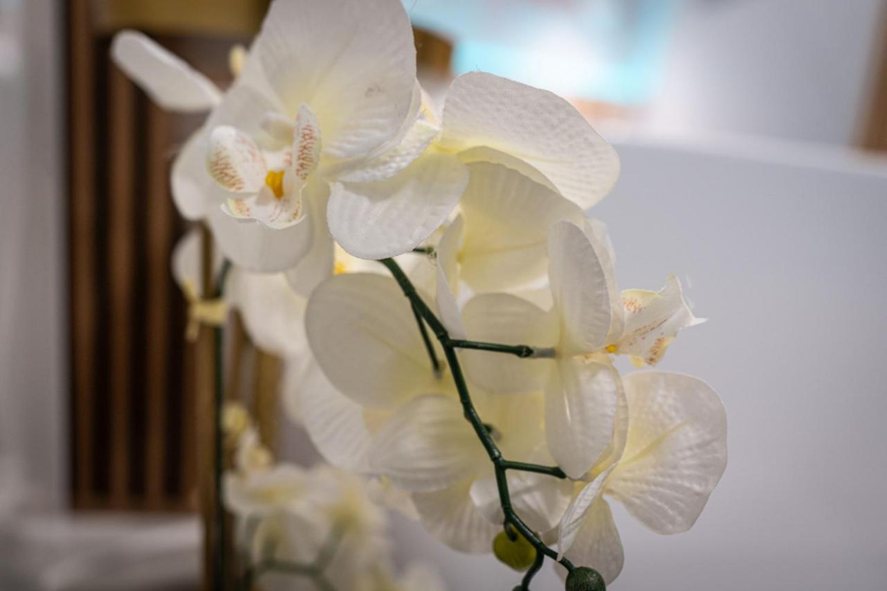 Dasto Apartments Old Town คราคูฟ ห้อง รูปภาพ